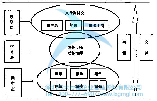 六西格瑪管理的組織模式 六西格瑪組織結構及團隊成員的作用