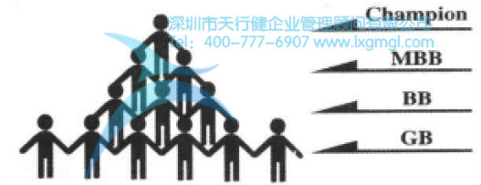 六西格瑪團隊組成成員 六西格瑪組織結構及團隊成員的作用