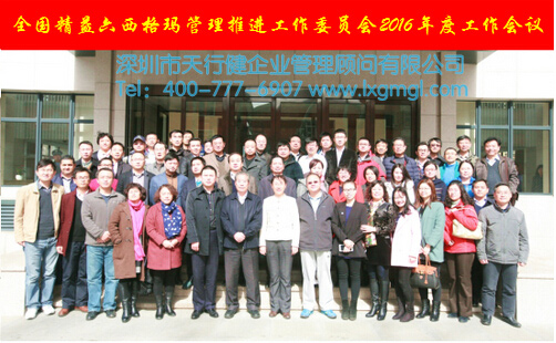 精益六西格瑪推進(jìn)委員會(huì)