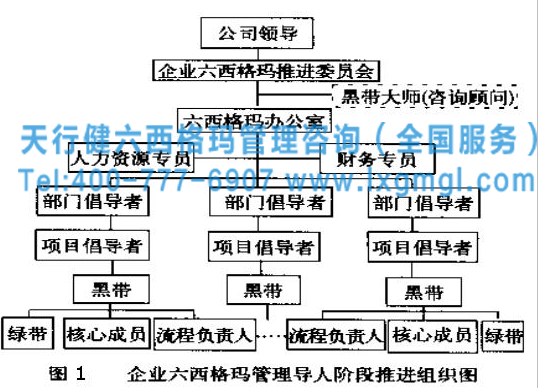 六西格瑪不同角色組織圖 六西格瑪組織中不同角色的主要職責介紹