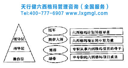 六西格瑪團(tuán)隊(duì) 六西格瑪管理團(tuán)隊(duì)組織模式創(chuàng)新