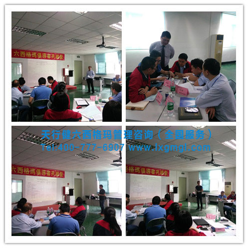 六西格瑪倡導(dǎo)者培訓(xùn)