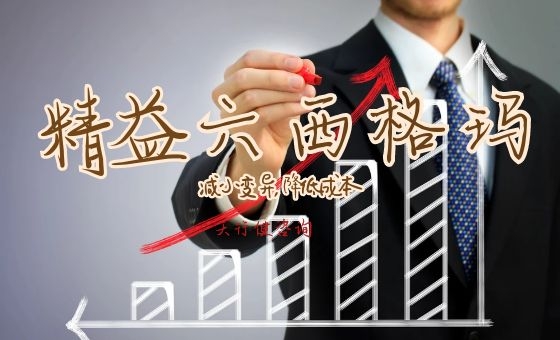 基于精益六西格瑪優(yōu)化企業(yè)審計流程