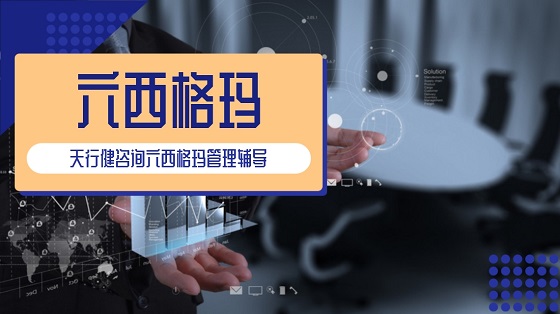 企業(yè)如何高效地實施精益六西格瑪項目