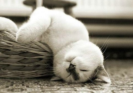 同款商品兩個(gè)標(biāo)價(jià)“搞暈”消費(fèi)者