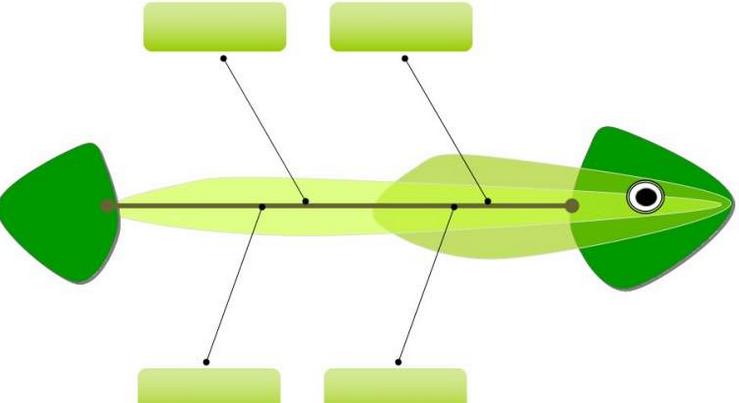 六西格瑪數(shù)據(jù)分析工具3——魚骨圖