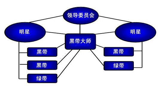企業(yè)領(lǐng)導(dǎo)在實施六西格瑪管理中的職責(zé)有哪些