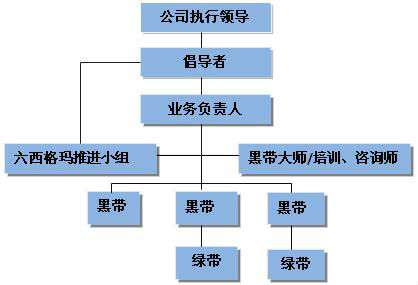 六西格瑪?shù)慕巧吐氊熃榻B