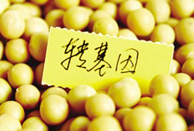 有什么方法能辨別轉(zhuǎn)基因食品