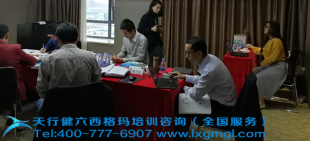 六西格瑪綠帶升黑帶培訓(xùn)